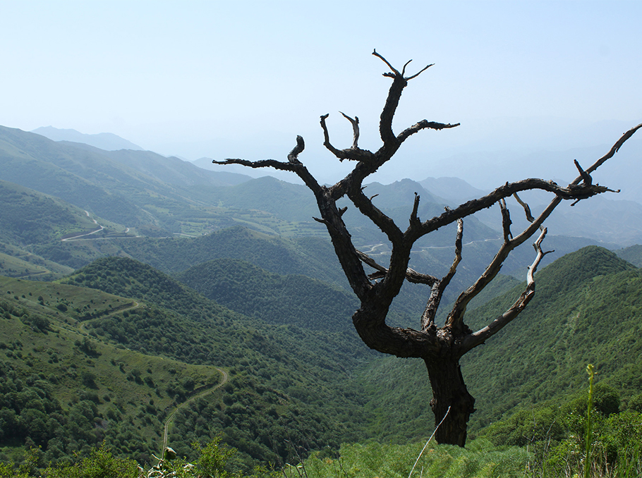 «Արեւիկ» ազգային պարկը