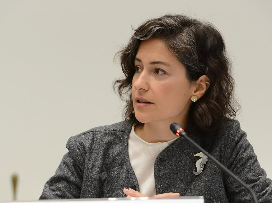 Արզու Գեյբուլաեւան