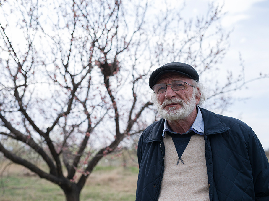 Մարտին Ալոյանը, Հայաստան, 2025թ.